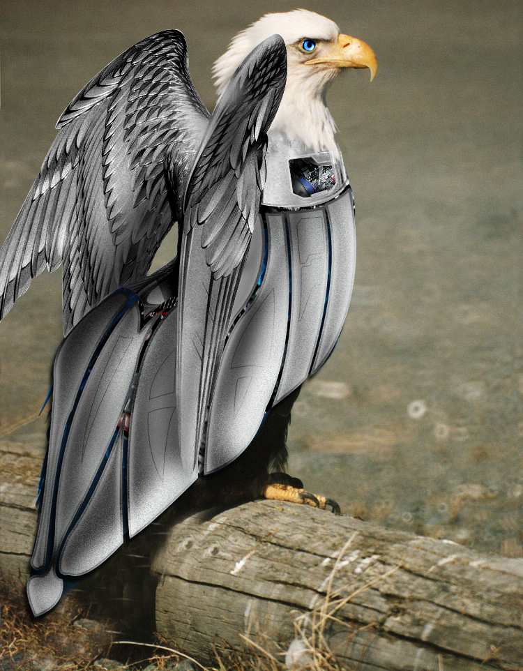 Photoshop Design by sergiopaulos for DesignCrowd (Community Contests) | Design #9100694