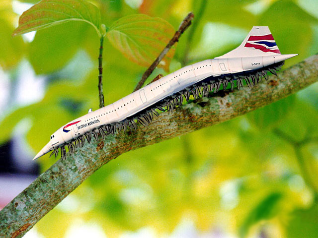 Photoshop Design by Unkempt for DesignCrowd (Community Contests) | Design #9100673