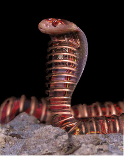 Diseño de Photoshop por Terrence para DesignCrowd (Community Contests) | Diseño #9100796