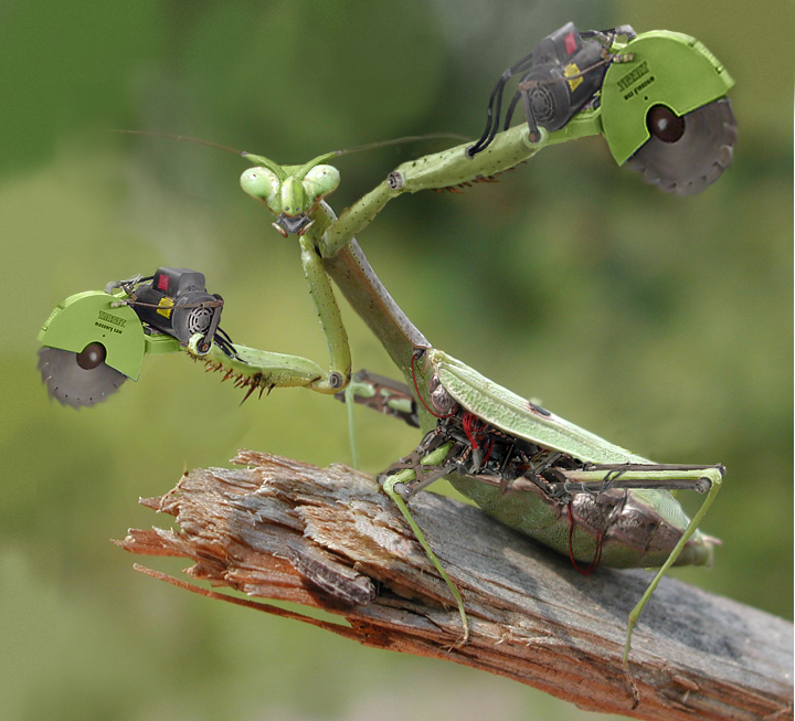 Photoshop-Design von cl0ckw0rk für DesignCrowd (Community Contests) | Design #9100839