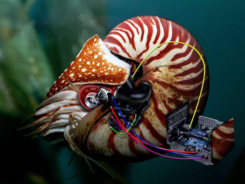 Design Photoshop par chris_ pour DesignCrowd (Community Contests) | Design #9100754