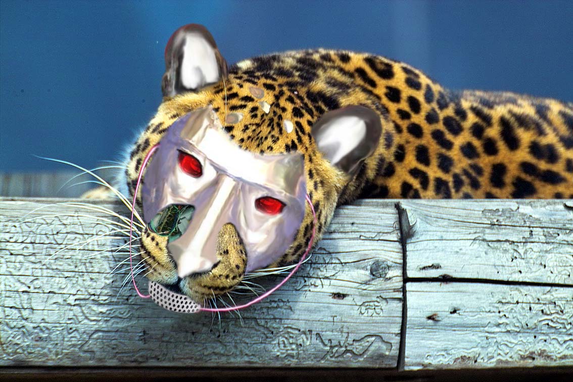 Photoshop Design by Meggie for DesignCrowd (Community Contests) | Design #9100820