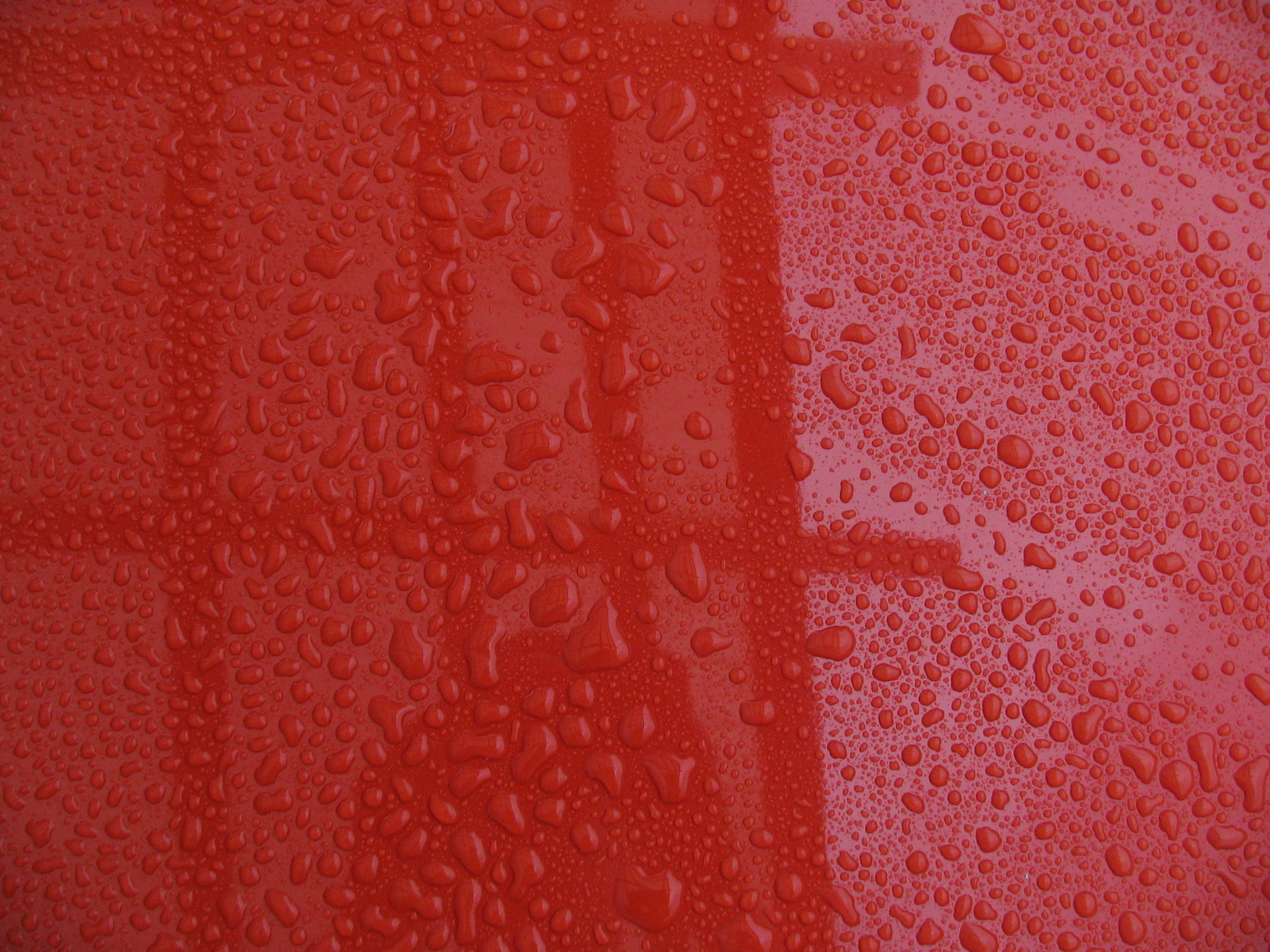 Photography by SirLegend for DesignCrowd (Community Contests) | Design #9116837