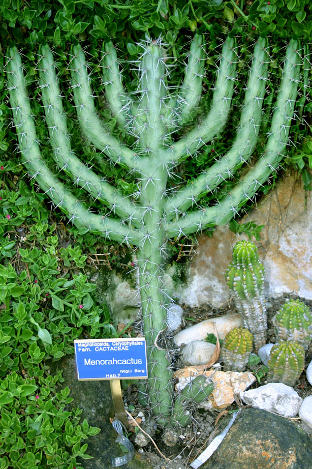 Design Photoshop par Romina pour DesignCrowd (Community Contests) | Design #9116784