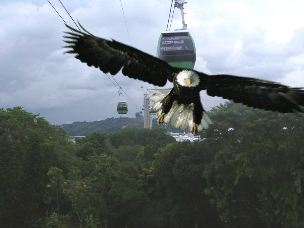 Photoshop-Design von Eizzo6 für DesignCrowd (Community Contests) | Design #9092989