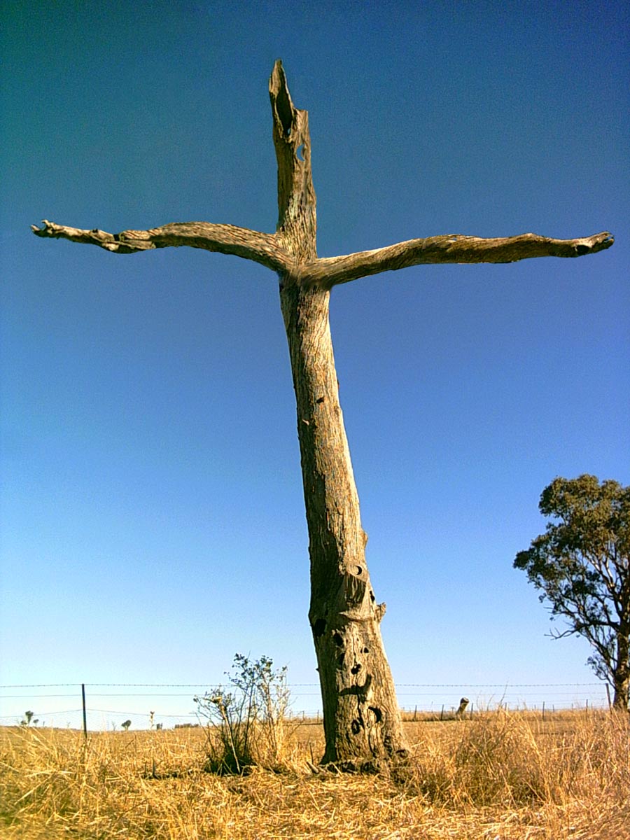 Photoshop-Design von Budmulla für DesignCrowd (Community Contests) | Design #9116822