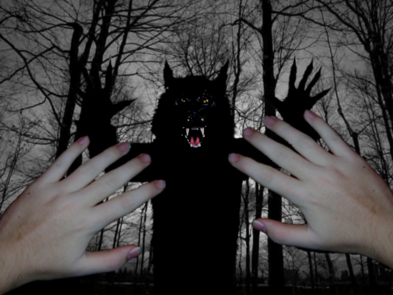 Photoshop Design by DiStUrBeD666 for DesignCrowd (Community Contests) | Design #9093010