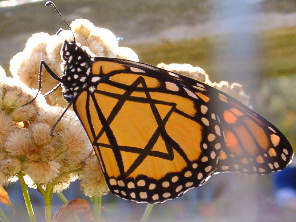 Diseño de Photoshop por MsBrill para DesignCrowd (Community Contests) | Diseño #9116849