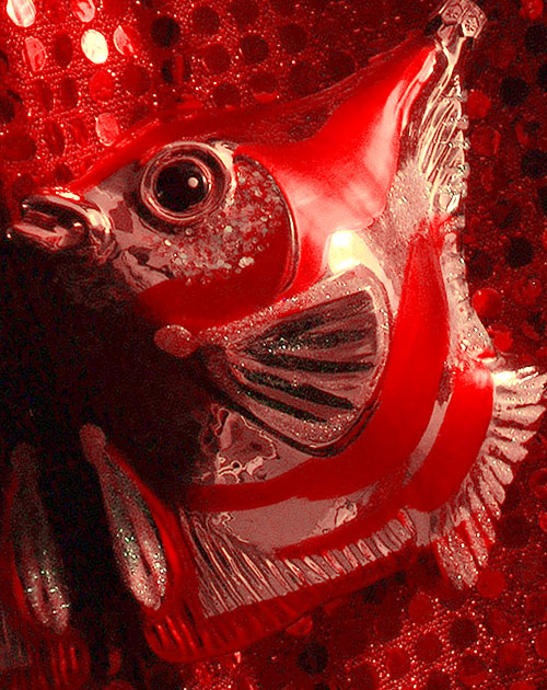 Fotografie von cameon für DesignCrowd (Community Contests) | Design #9117226