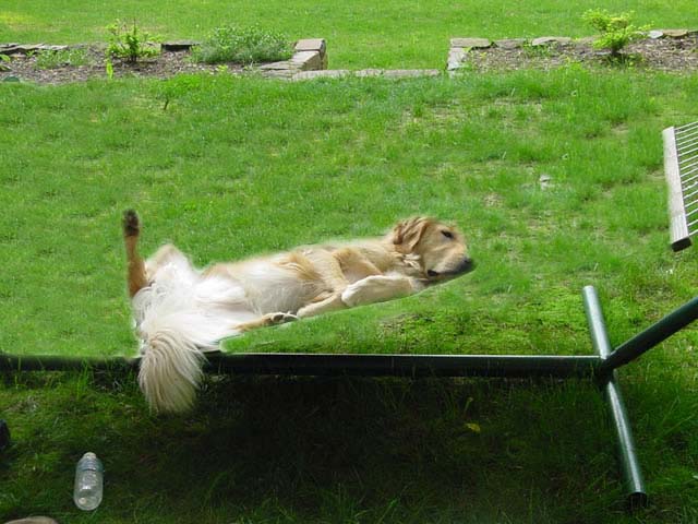 Photoshop-Design von fairyprncss für DesignCrowd (Community Contests) | Design #9120232