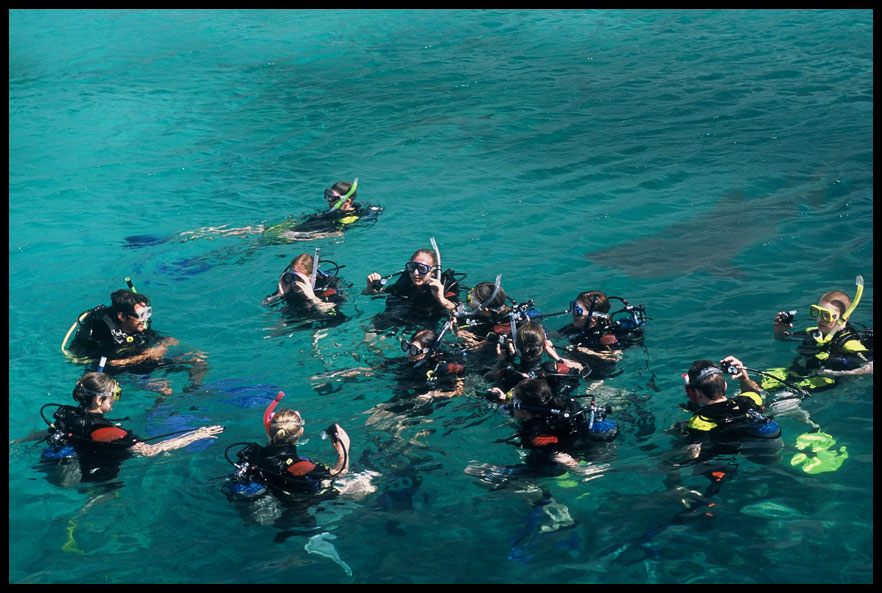 Photoshop Design by darrellperry for DesignCrowd (Community Contests) | Design #9093212