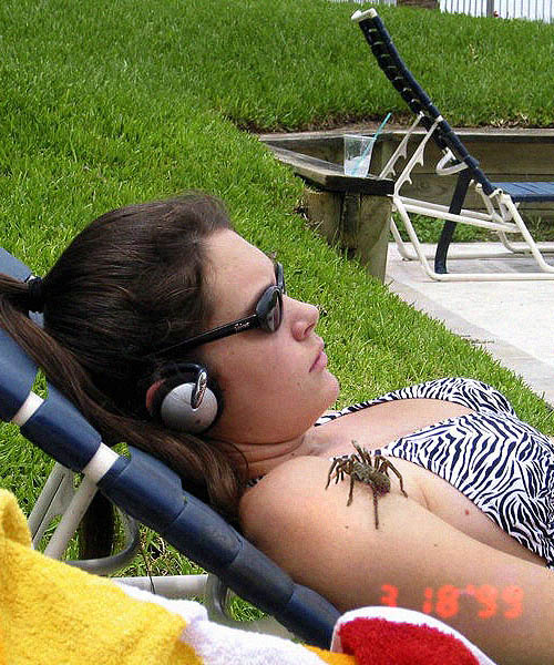 Diseño de Photoshop por Yaron76 para DesignCrowd (Community Contests) | Diseño #9093201