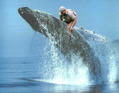 Design Photoshop par shermanio pour DesignCrowd (Community Contests) | Design #9113679