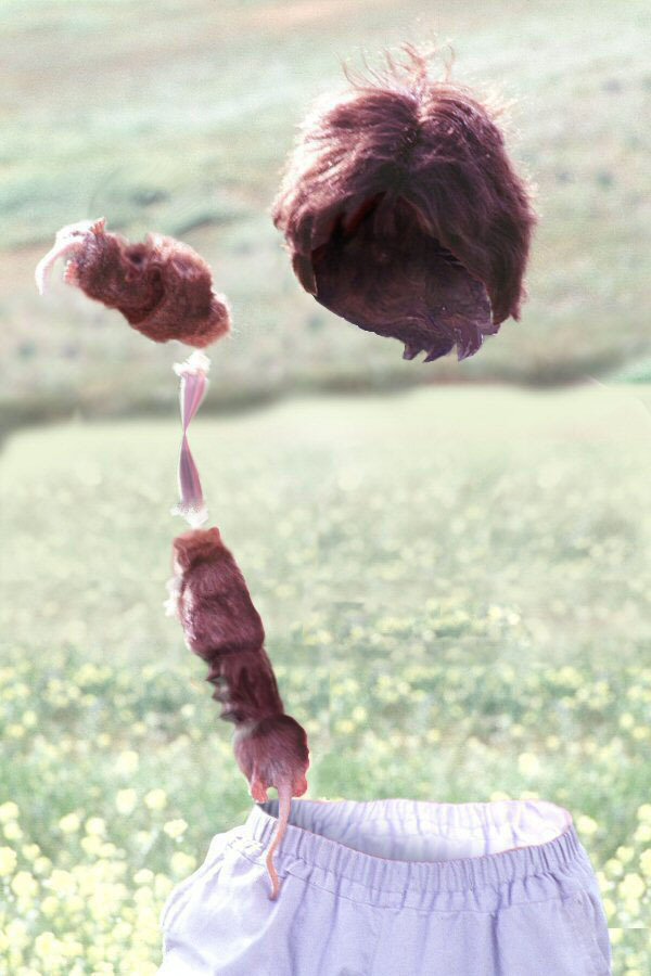 Photoshop-Design von Budmiester für DesignCrowd (Community Contests) | Design #9120348