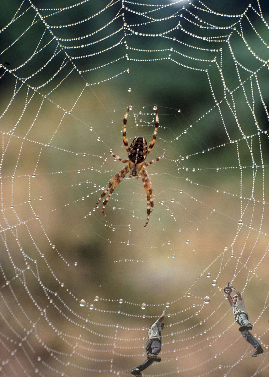 Photoshop Design by Gaspode for DesignCrowd (Community Contests) | Design #9113693