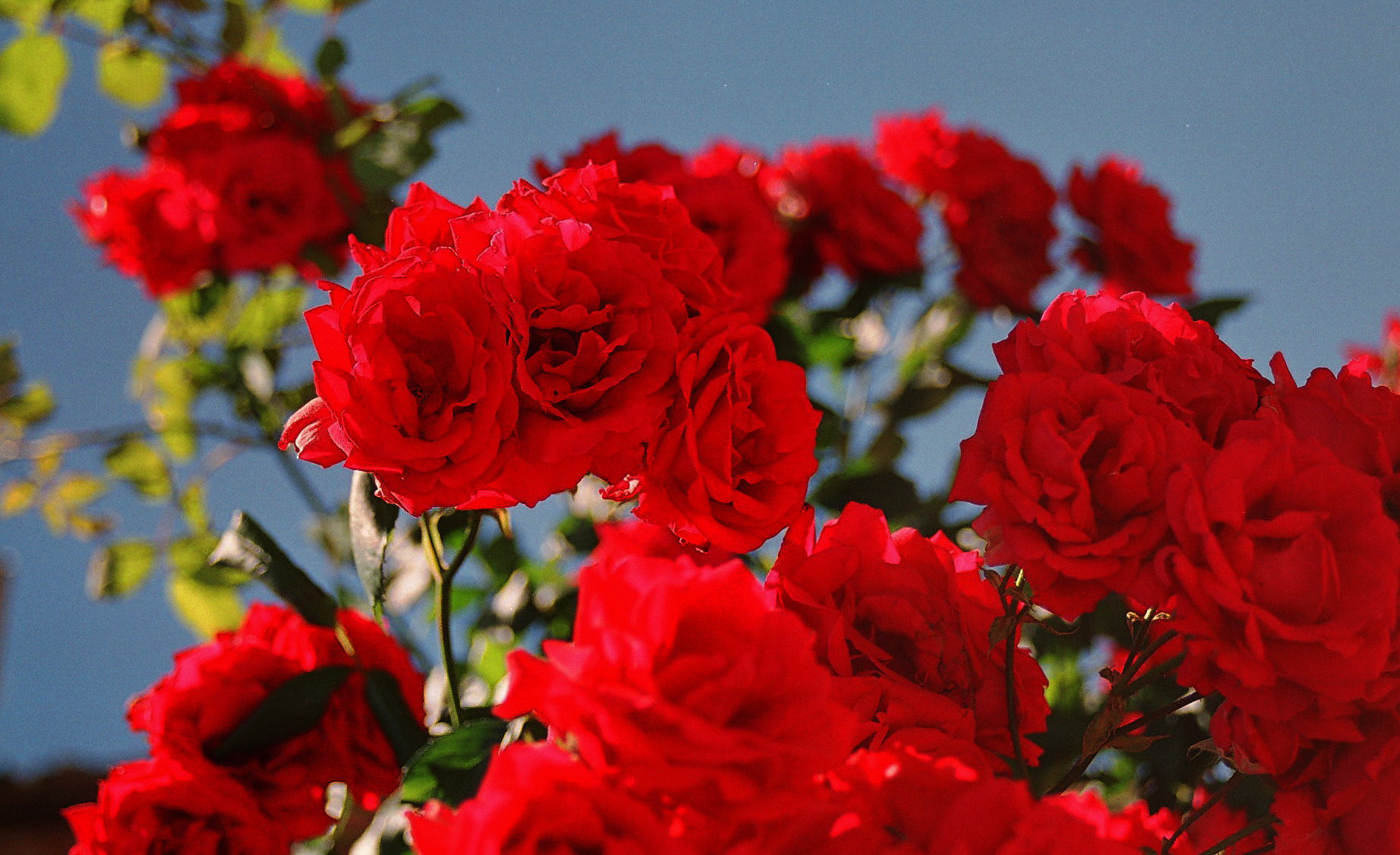 Photography by jesuslatorre for DesignCrowd (Community Contests) | Design #9117293