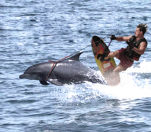 Photoshop-Design von Svethead für DesignCrowd (Community Contests) | Design #9113765