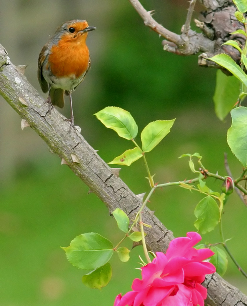 Photography by RitaRichter for DesignCrowd (Community Contests) | Design #9117133