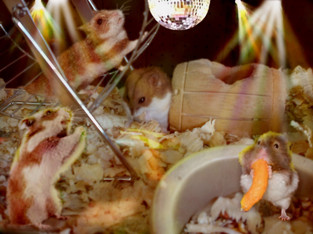 Photoshop Design by lebbTN for DesignCrowd (Community Contests) | Design #9115443