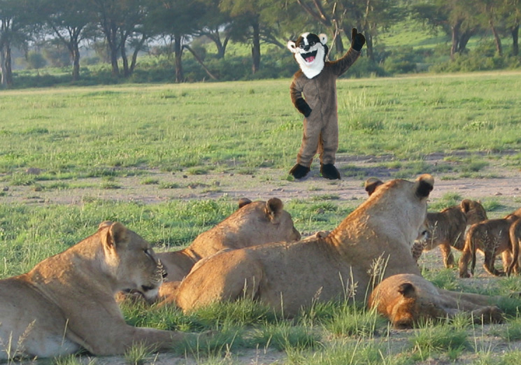 Photoshop Design by cl0ckw0rk for DesignCrowd (Community Contests) | Design #9113817