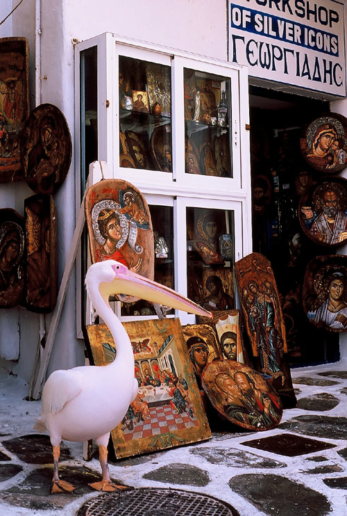 Fotografía por 1Mast1 para DesignCrowd (Community Contests) | Diseño #9116833