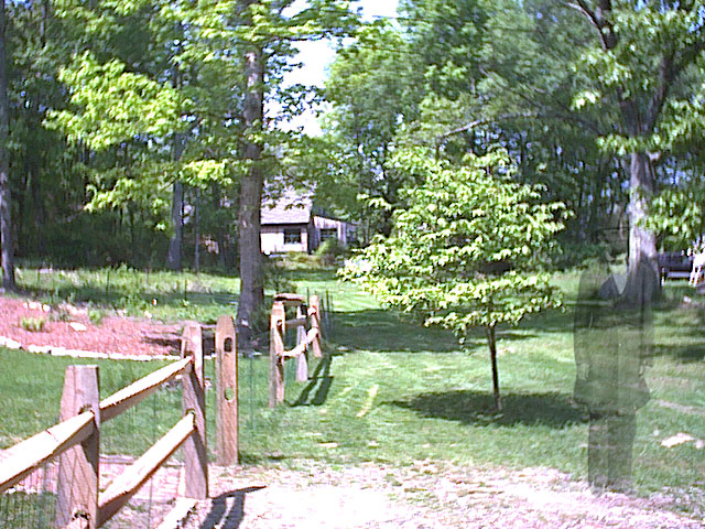 Photoshop Design by Angellica for DesignCrowd (Community Contests) | Design #9118186