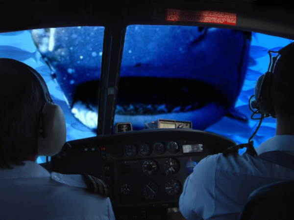 Photoshop Design by FotoFreek for DesignCrowd (Community Contests) | Design #9117628