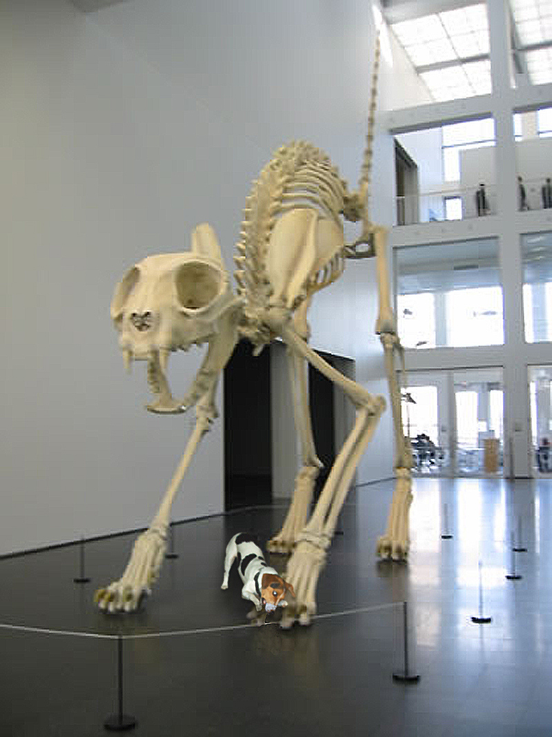 Photoshop-Design von dellville für DesignCrowd (Community Contests) | Design #9117708