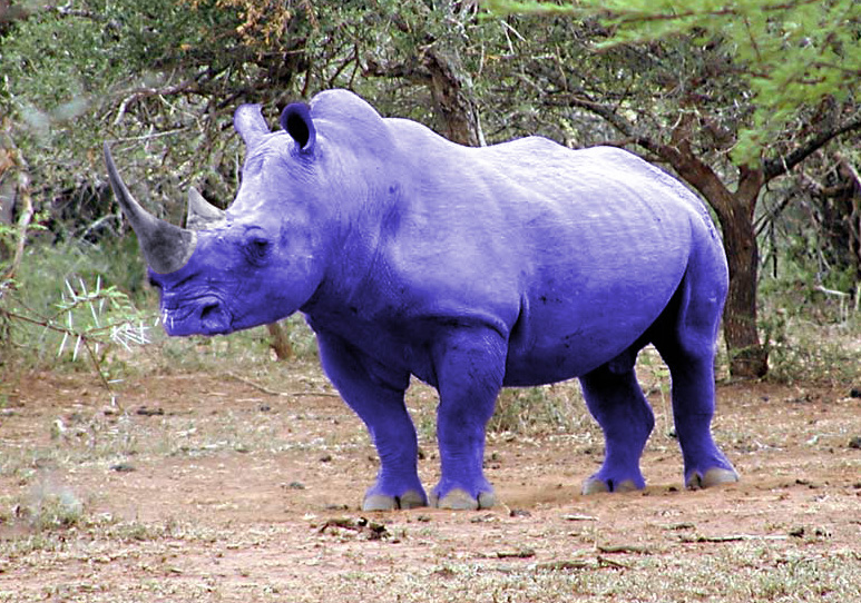 Diseño de Photoshop por malgardiner para DesignCrowd (Community Contests) | Diseño #9119997