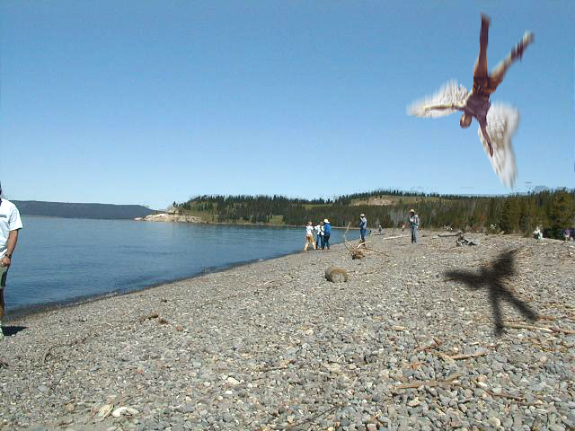 Photoshop-Design von Svethead für DesignCrowd (Community Contests) | Design #9117870