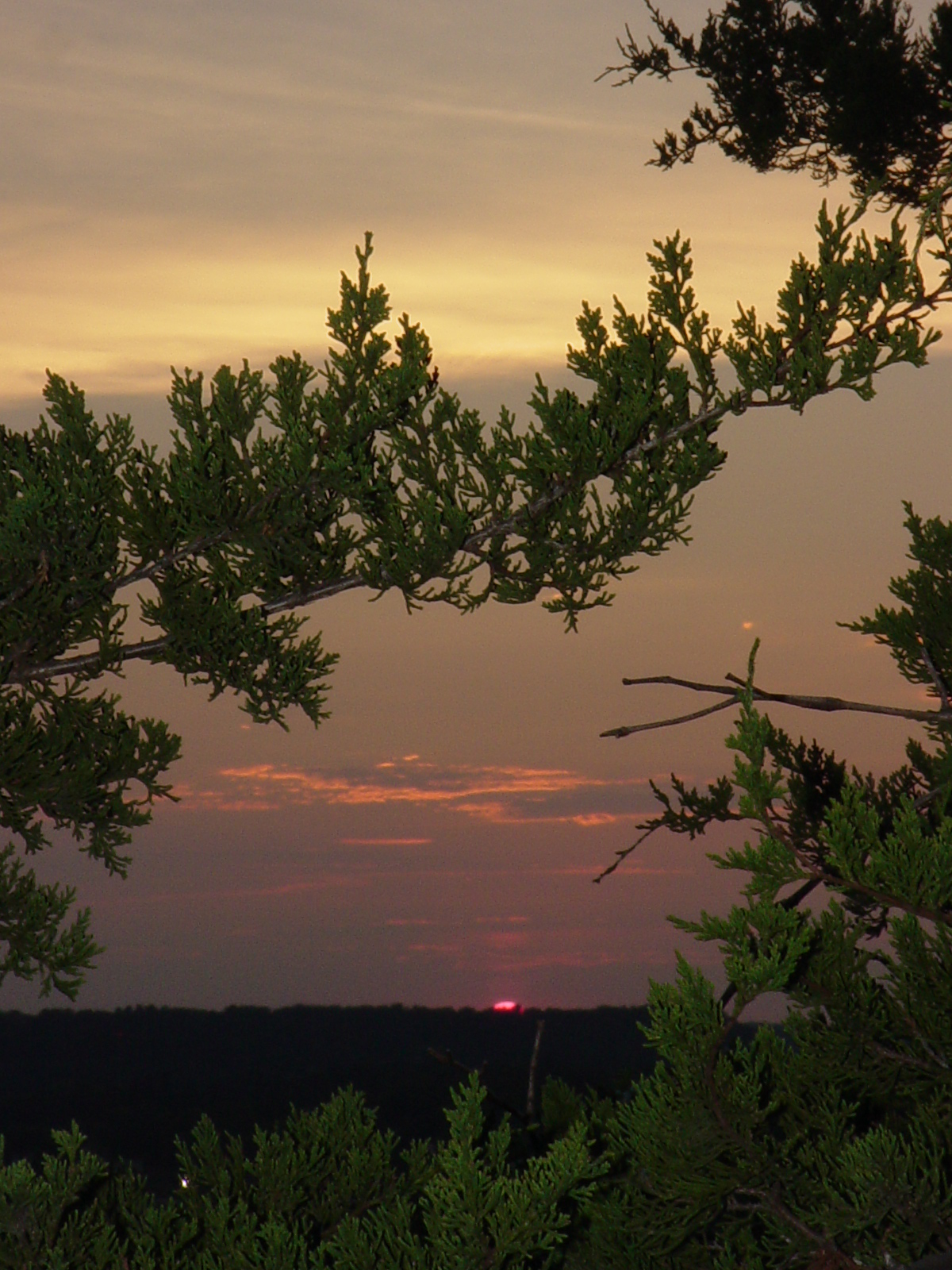 Photography by ottaia for DesignCrowd (Community Contests) | Design #9117641