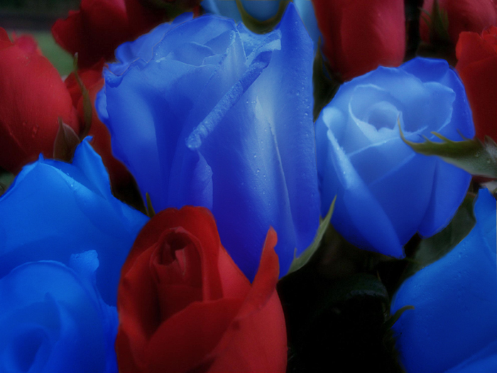 Photoshop Design by DannyHonx for DesignCrowd (Community Contests) | Design #9120093