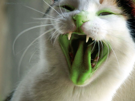 Photoshop Design by cranberryzero for DesignCrowd (Community Contests) | Design #9120233