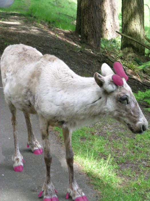 Design Photoshop par blendedfamily pour DesignCrowd (Community Contests) | Design #9120284