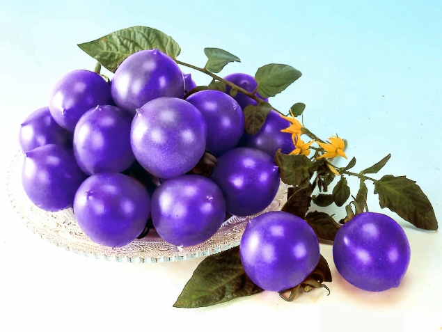 Diseño de Photoshop por daisiem para DesignCrowd (Community Contests) | Diseño #9120202