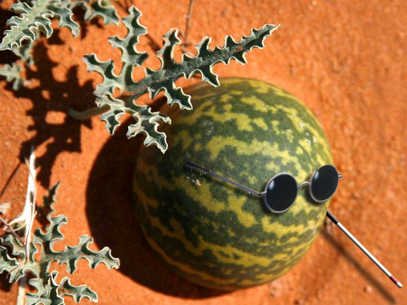 Photoshop Design by topwallpaperscom for DesignCrowd (Community Contests) | Design #9100467