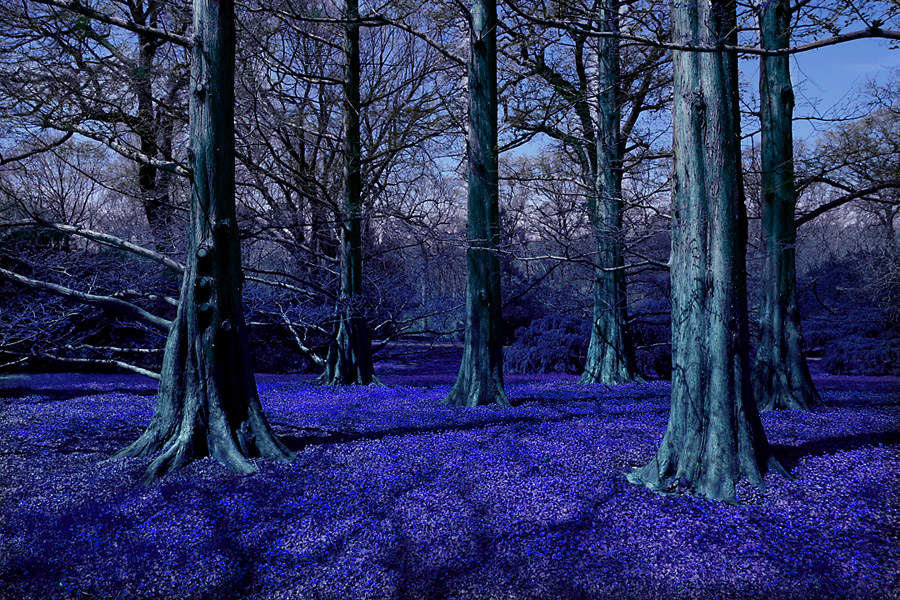 Diseño de Photoshop por eminavn para DesignCrowd (Community Contests) | Diseño #9120266