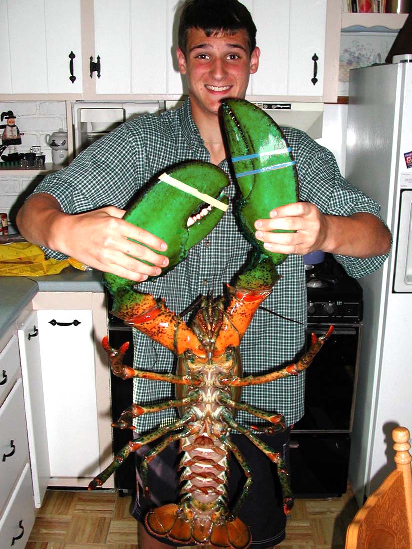 Diseño de Photoshop por arttrainer para DesignCrowd (Community Contests) | Diseño #9120315