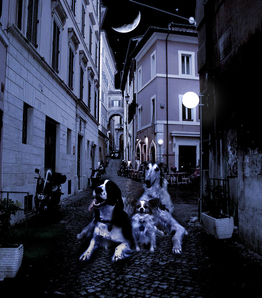 Diseño de Photoshop por PepperRSM para DesignCrowd (Community Contests) | Diseño #9100516