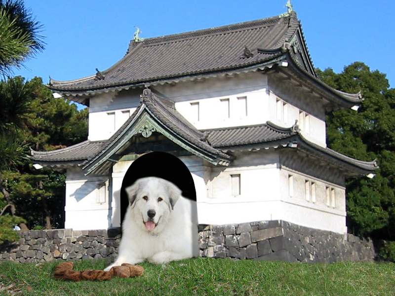 Photoshop Design by duragg for DesignCrowd (Community Contests) | Design #9100645