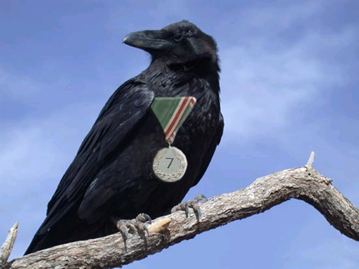 Photoshop Design by nolimit for DesignCrowd (Community Contests) | Design #9100660