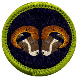 Photoshop Design by duragg for DesignCrowd (Community Contests) | Design #9117103