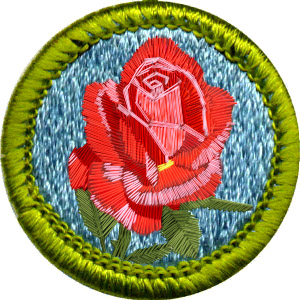 Design Photoshop par BullyBoy pour DesignCrowd (Community Contests) | Design #9117296