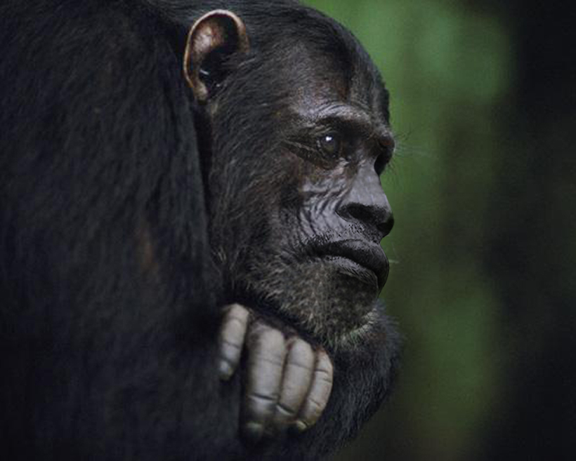 Photoshop Design by srinoo for DesignCrowd (Community Contests) | Design #9120069