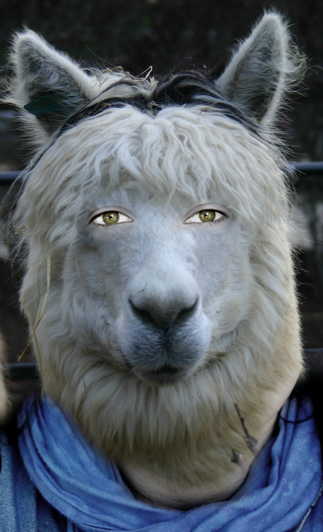 Design Photoshop par Romina pour DesignCrowd (Community Contests) | Design #9120151