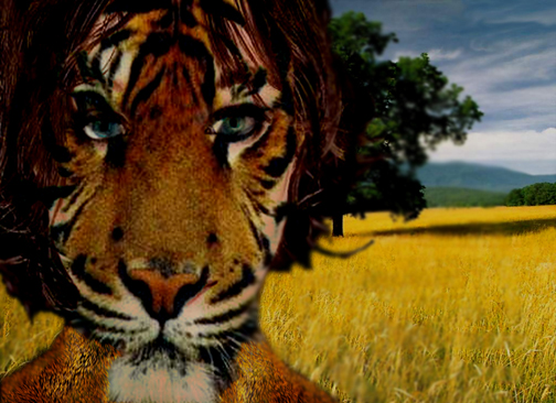 Photoshop Design by hyrollerb1 for DesignCrowd (Community Contests) | Design #9120130