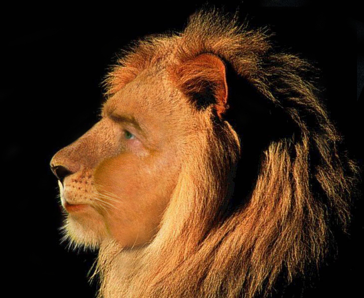 Design Photoshop par robster pour DesignCrowd (Community Contests) | Design #9120092