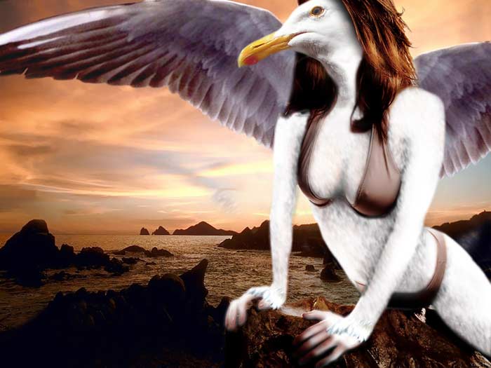 Photoshop Design by orangeshutter for DesignCrowd (Community Contests) | Design #9120377