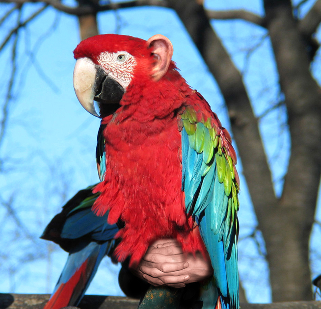 Photoshop Design by bigbadsi for DesignCrowd (Community Contests) | Design #9120193