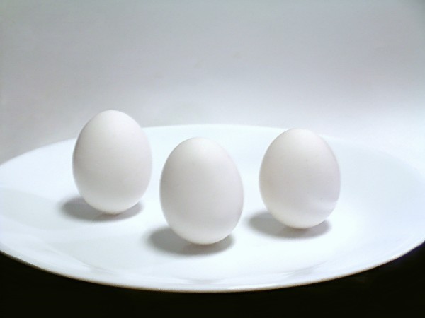 Photographie par blendedfamily pour DesignCrowd (Community Contests) | Design #9115912